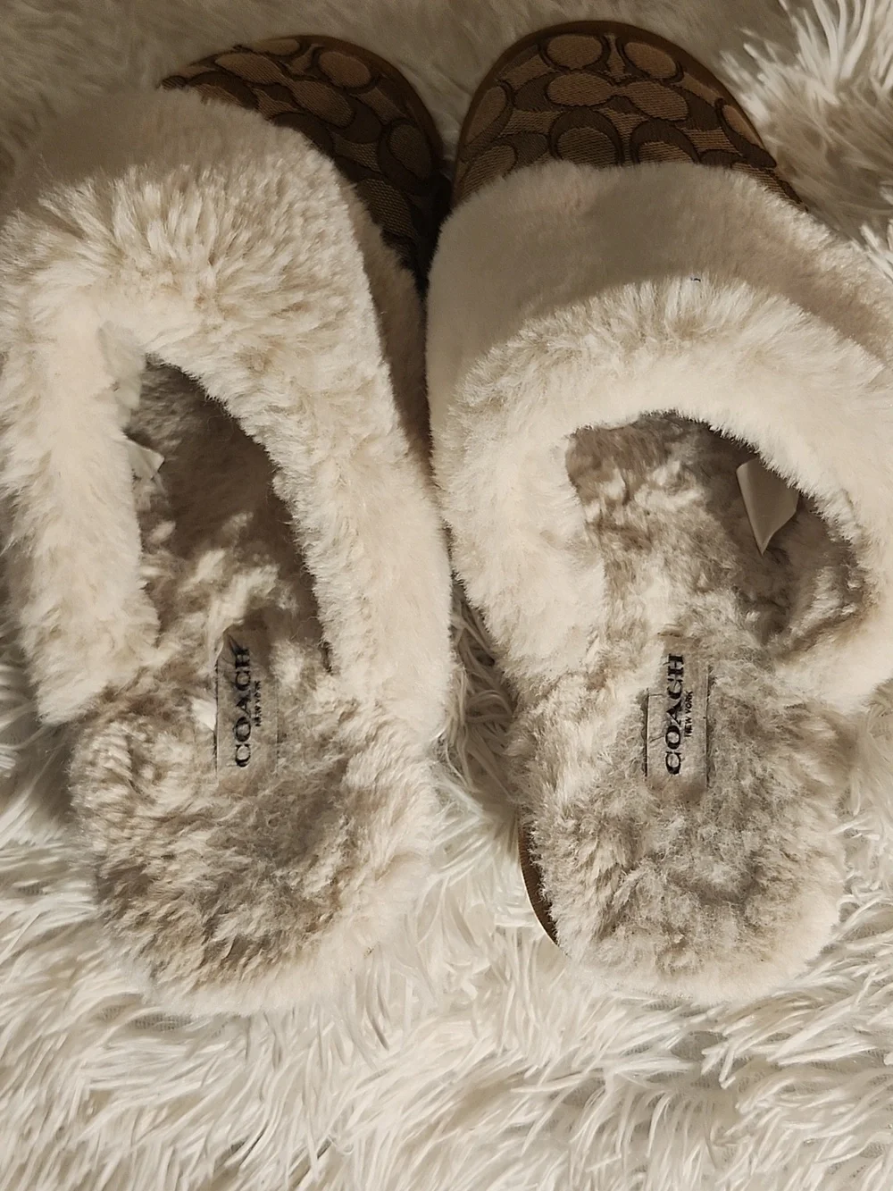 Coach slippers signature